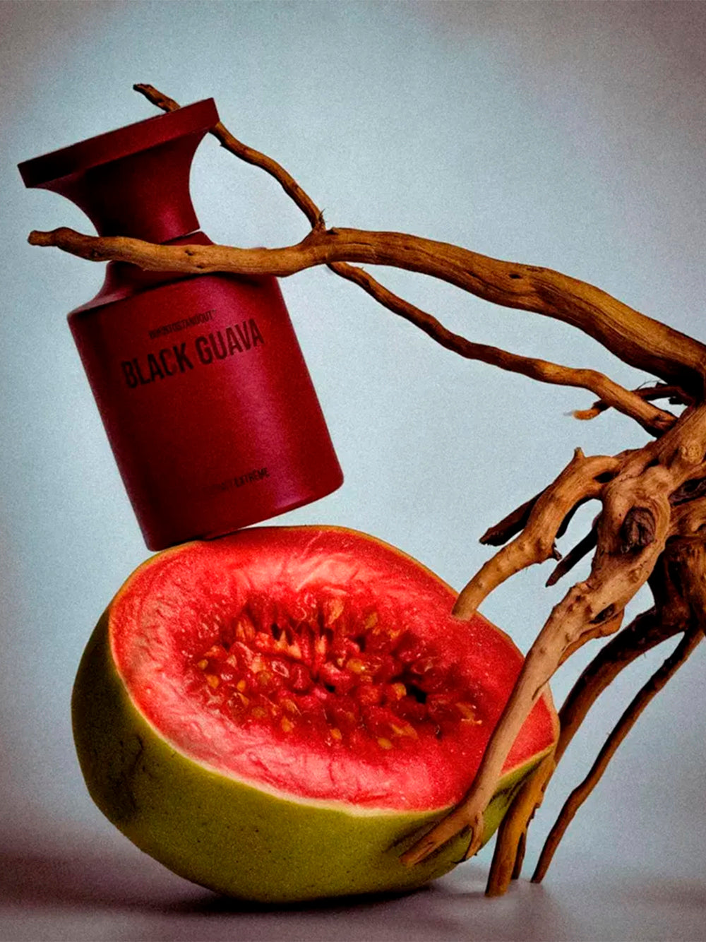 BORNTOSTANDOUT-BLACK GUAVA EXE-40301952 EXTRAIT EXTRÉME