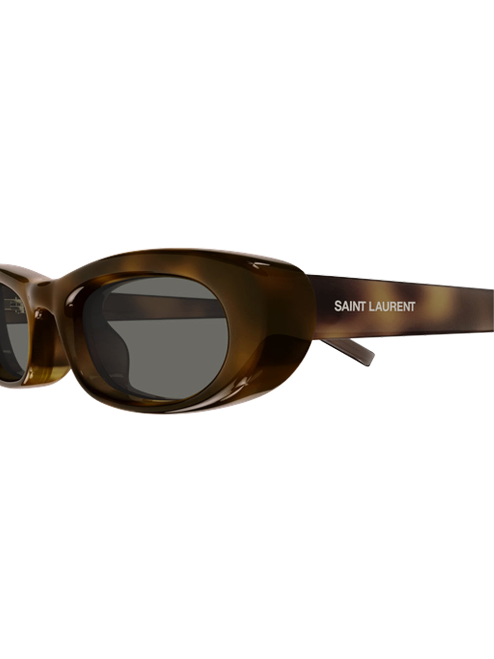 SAINT LAURENT-SL 557 SHADE PLUMP-SL 557 SHADE PLUMP.002 002 HAVANA/GREY