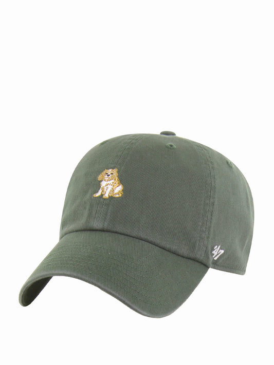 47 BRAND-DOGS CLEAN UP CAVALIER KING-47.XXD.BSRIC08GWS.MS MOSS