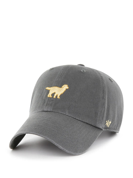 47 BRAND-DOGS CLEAN UP GOLDEN RETRIEVER-47.XX.BSRIC284GWS.CCD CHARCOAL