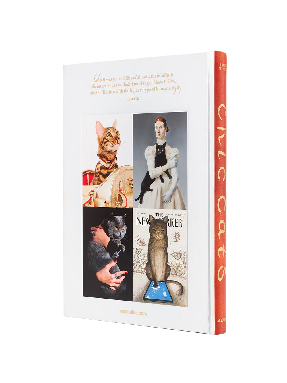 ASSOULINE-CHIC CATS-9781649806871 THE CLASSICS COLLECTION