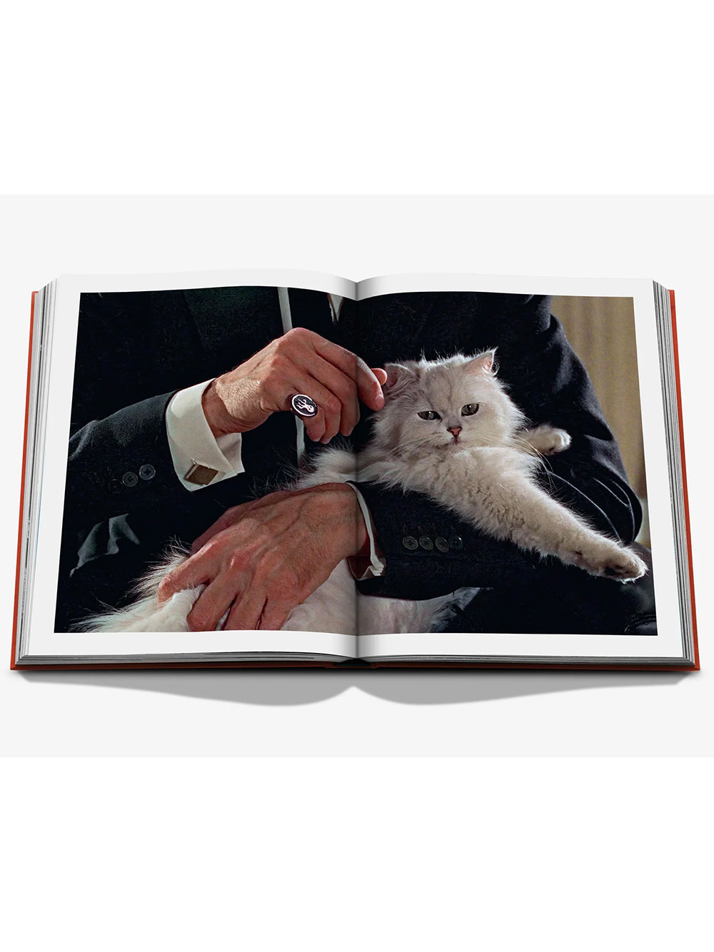 ASSOULINE-CHIC CATS-9781649806871 THE CLASSICS COLLECTION