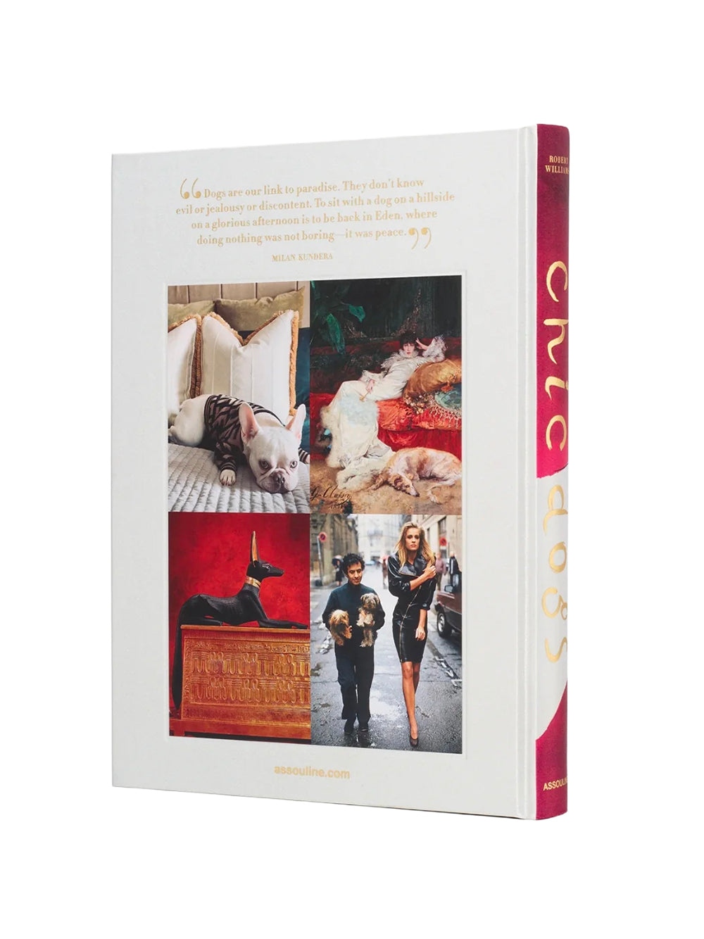 ASSOULINE-CHIC DOGS-9781649804419 THE CLASSICS COLLECTION