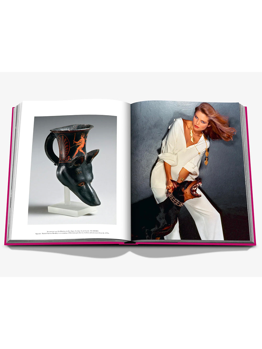 ASSOULINE-CHIC DOGS-9781649804419 THE CLASSICS COLLECTION