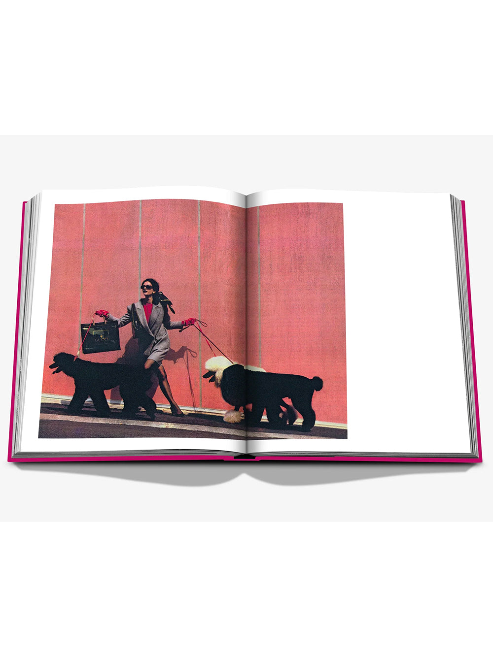 ASSOULINE-CHIC DOGS-9781649804419 THE CLASSICS COLLECTION