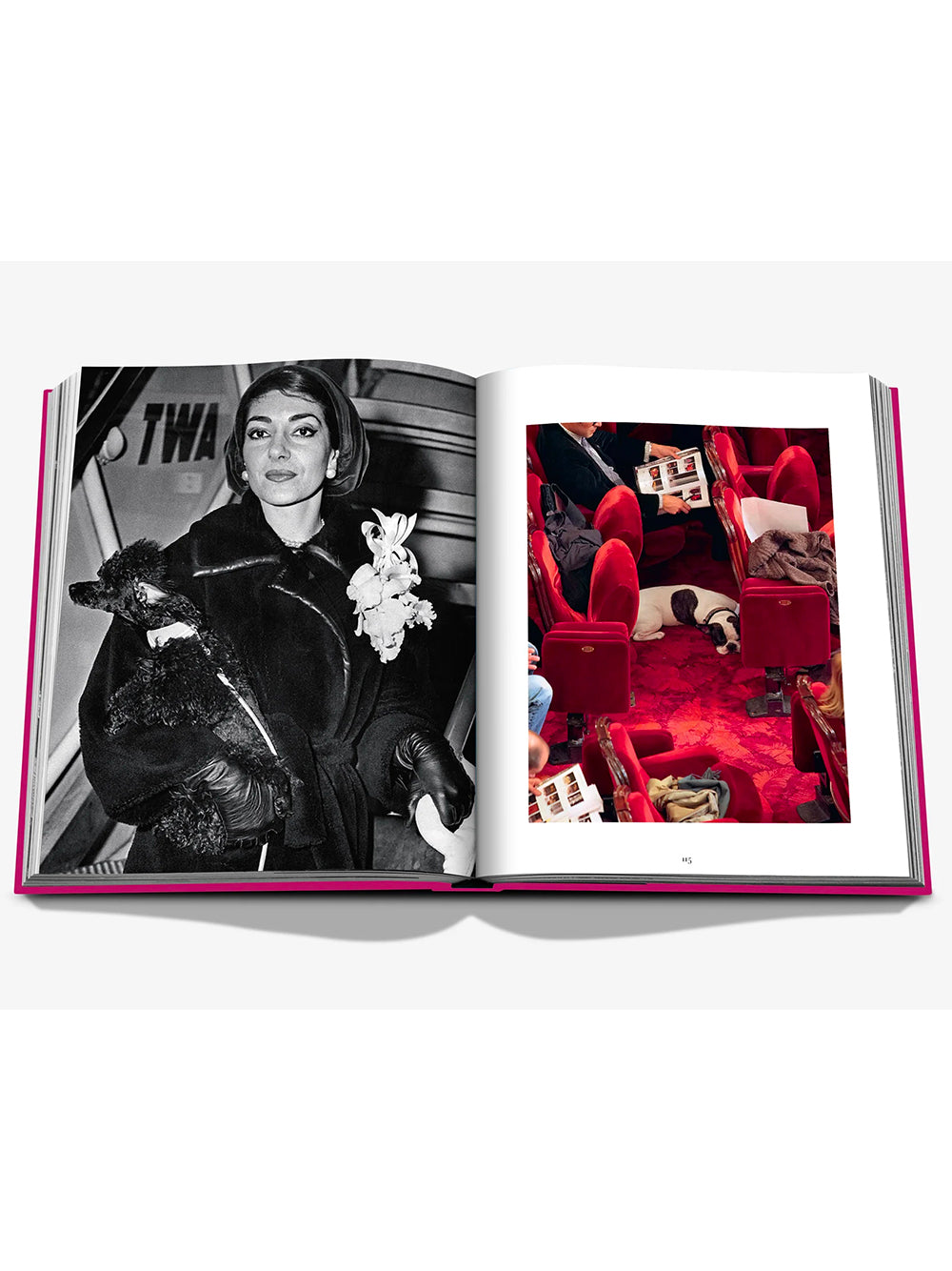 ASSOULINE-CHIC DOGS-9781649804419 THE CLASSICS COLLECTION