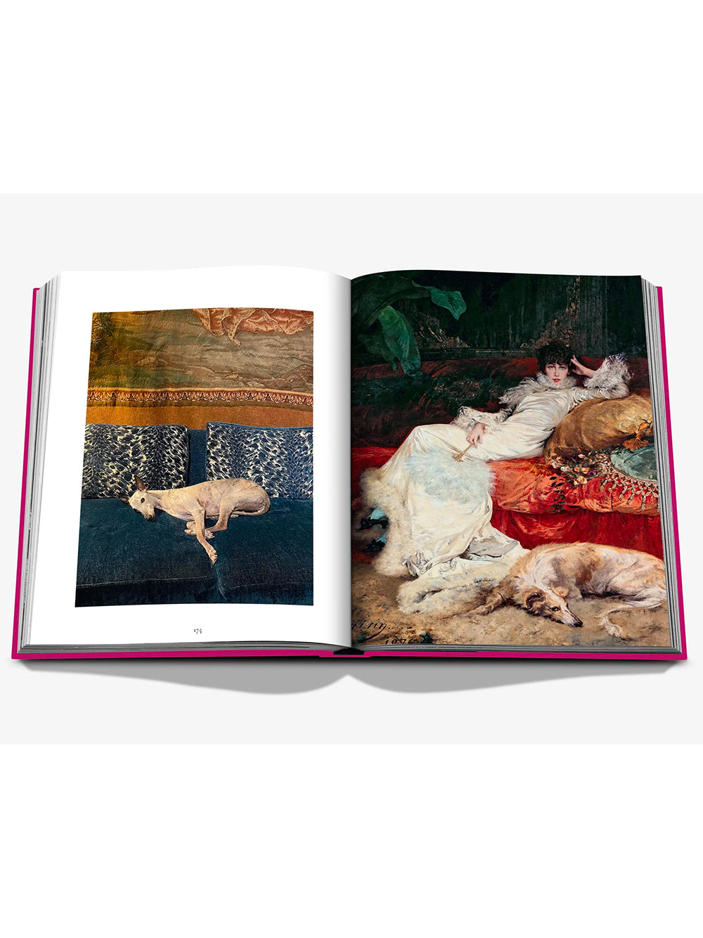 ASSOULINE-CHIC DOGS-9781649804419 THE CLASSICS COLLECTION