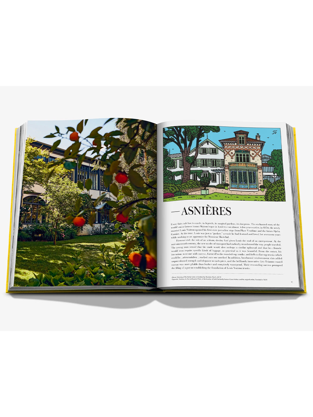 ASSOULINE-FROM LOUIS TO VUITTON-9781649803955 THE LEGENDS COLLECTION