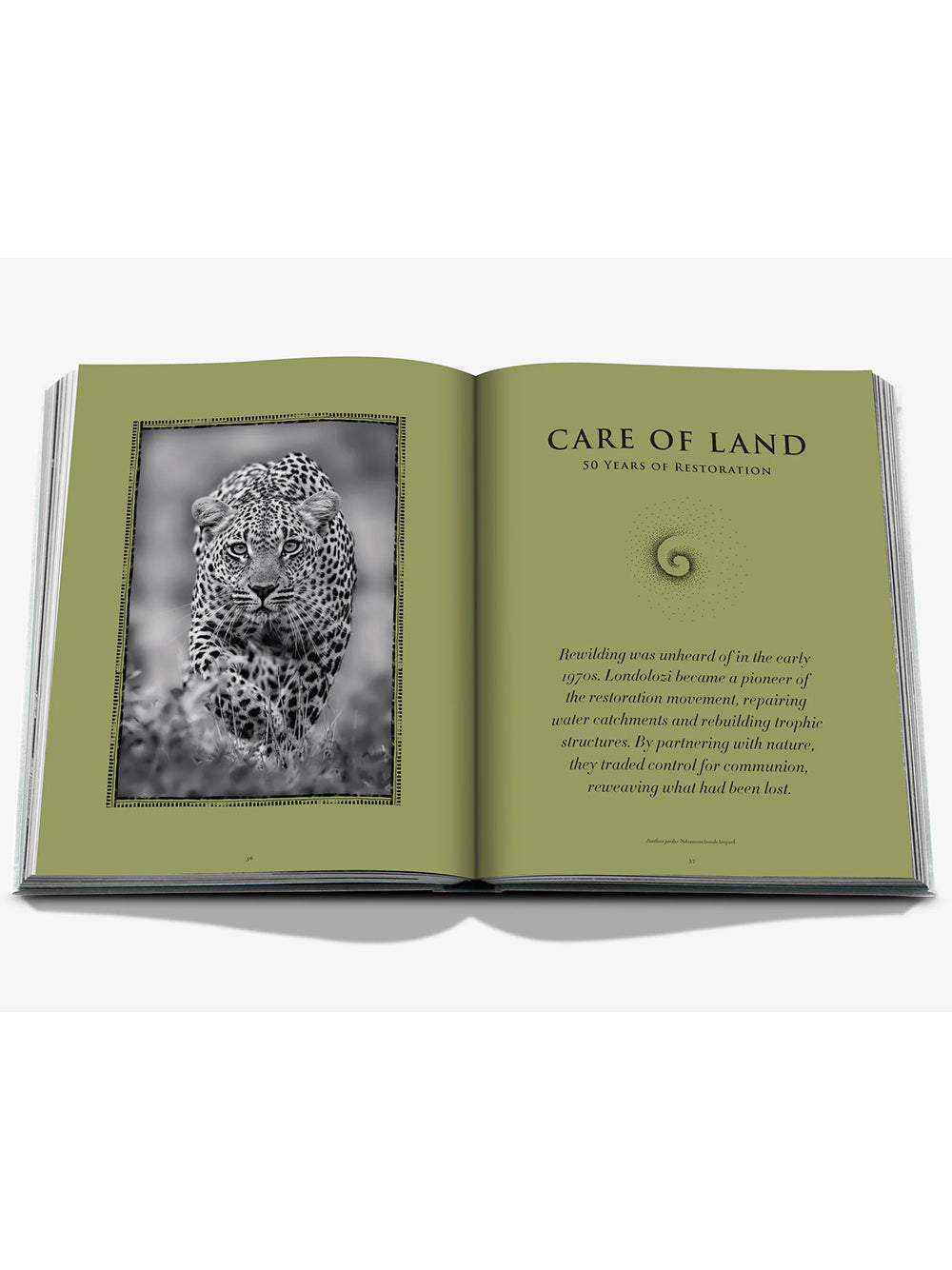 ASSOULINE-LONDOLOZI: THE SAFARI THAT CHANGED EVERYTHING-9781649806000 THE HOSPITALITY COLLECTION