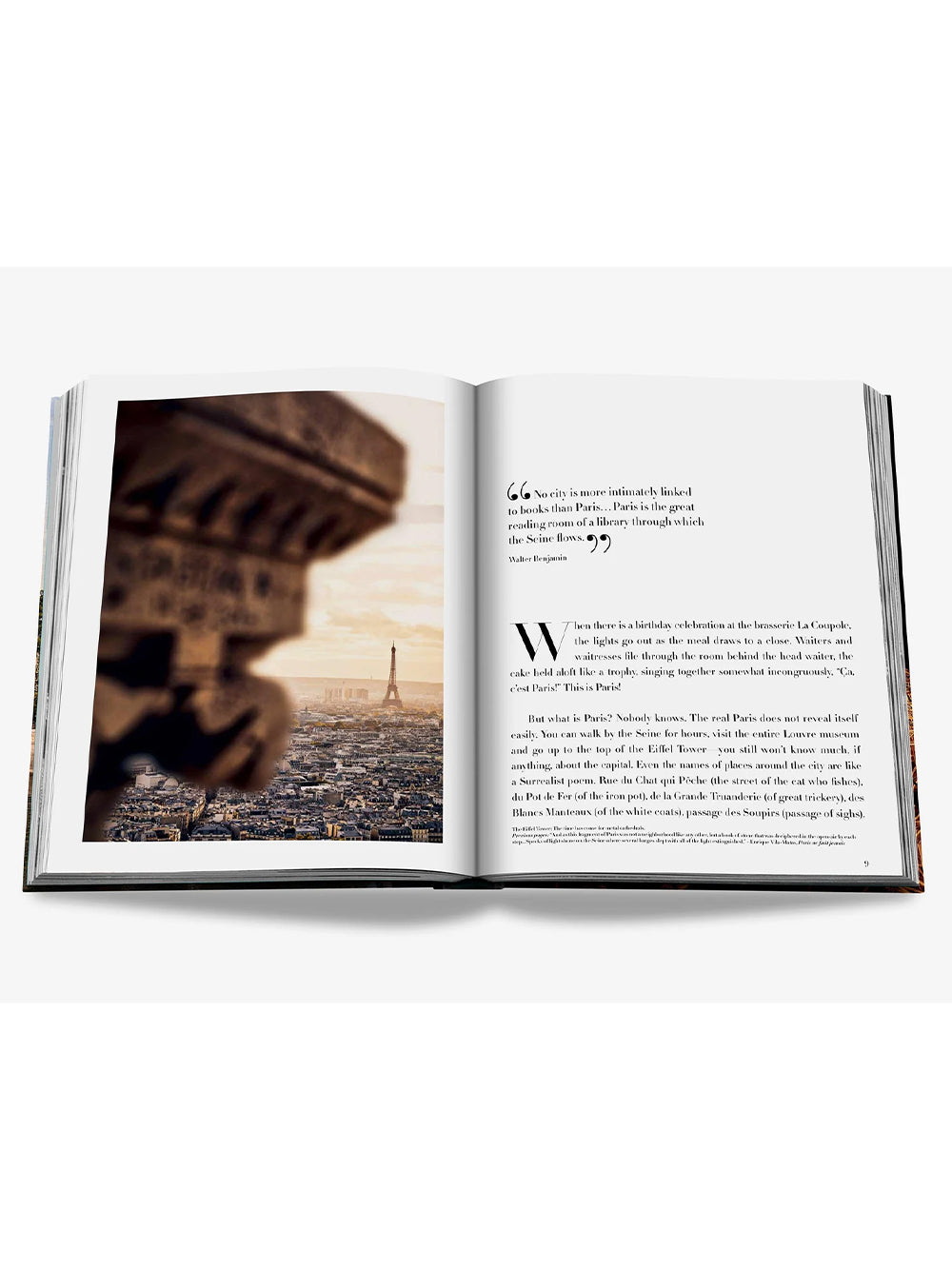 ASSOULINE-PARIS CHIC-9781614289333 THE CLASSICS COLLECTION