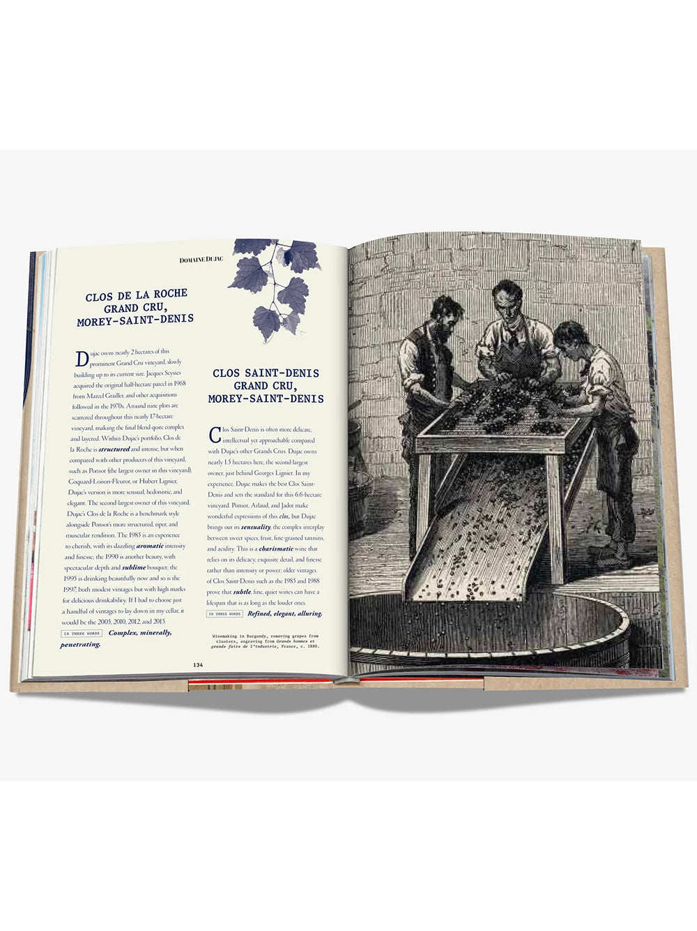 ASSOULINE-THE 100 BURGUNDY: EXCEPTIONAL WINES TO BUILD A DREAM CELLAR-9781614288084 THE ICONS COLLECTION