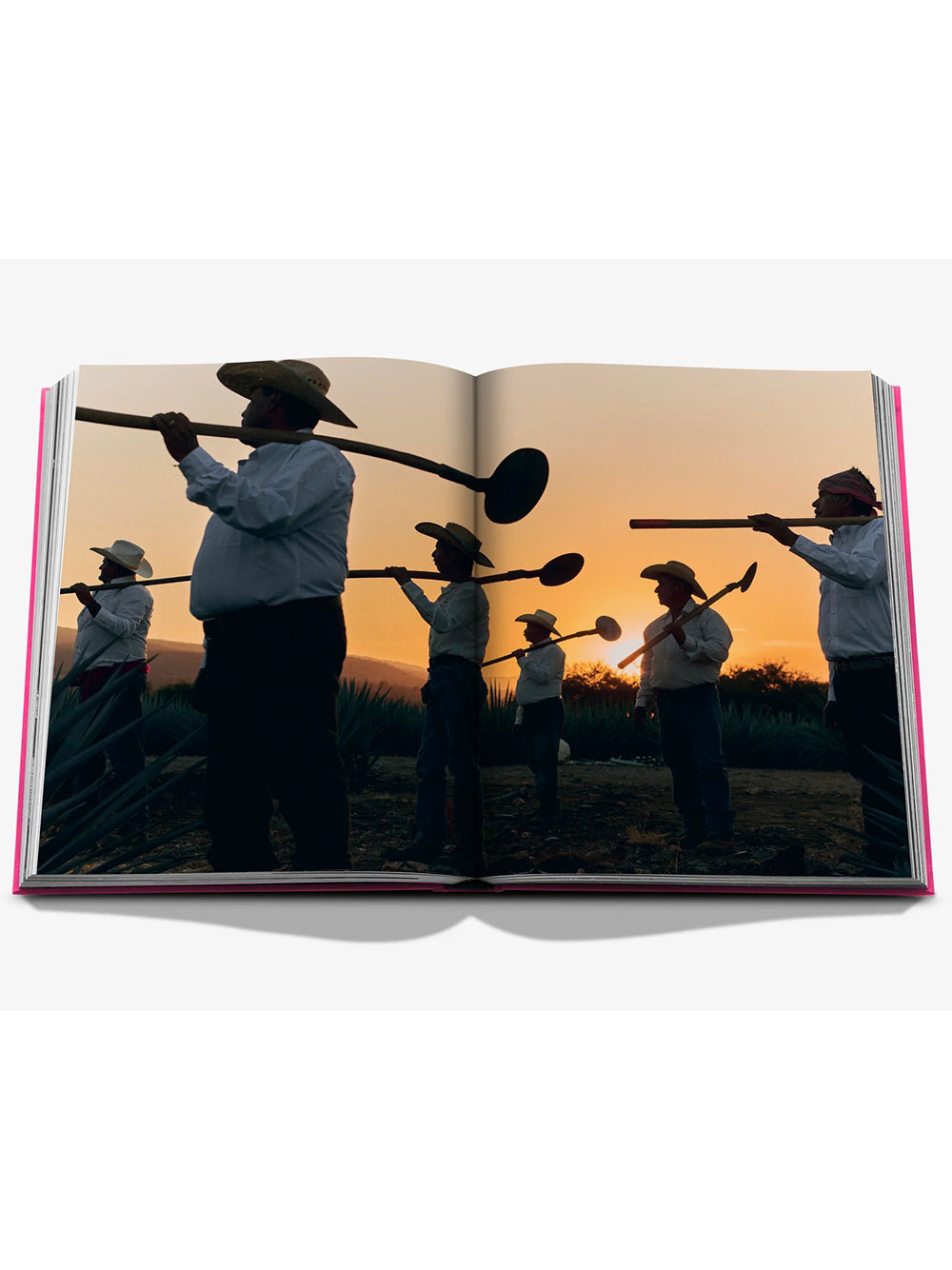 ASSOULINE-THE ART OF TEQUILA: SPIRIT OF MEXICO-9781649805997 THE CLASSICS COLLECTION