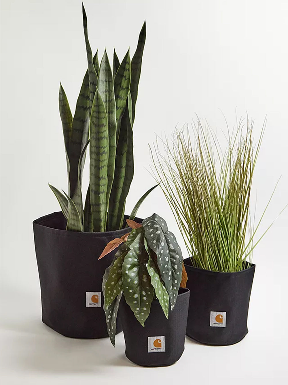 CARHARTT WIP-CANVAS PLANTER SET-I032014 49XX OLIVE