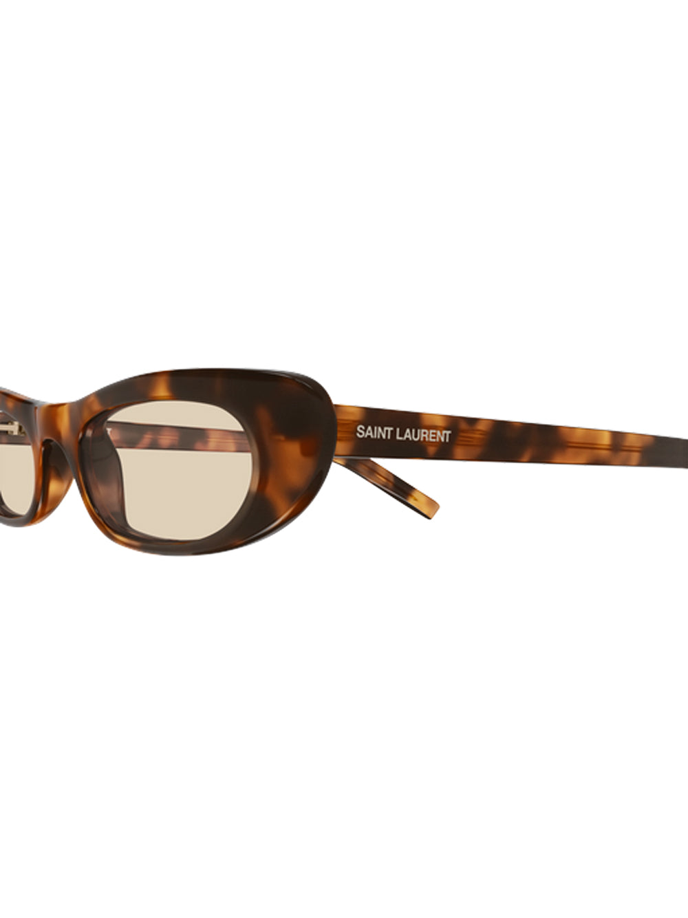 SAINT LAURENT-SL 557 SHADE-SL 557 SHADE.008 008 HAVANA/BROWN