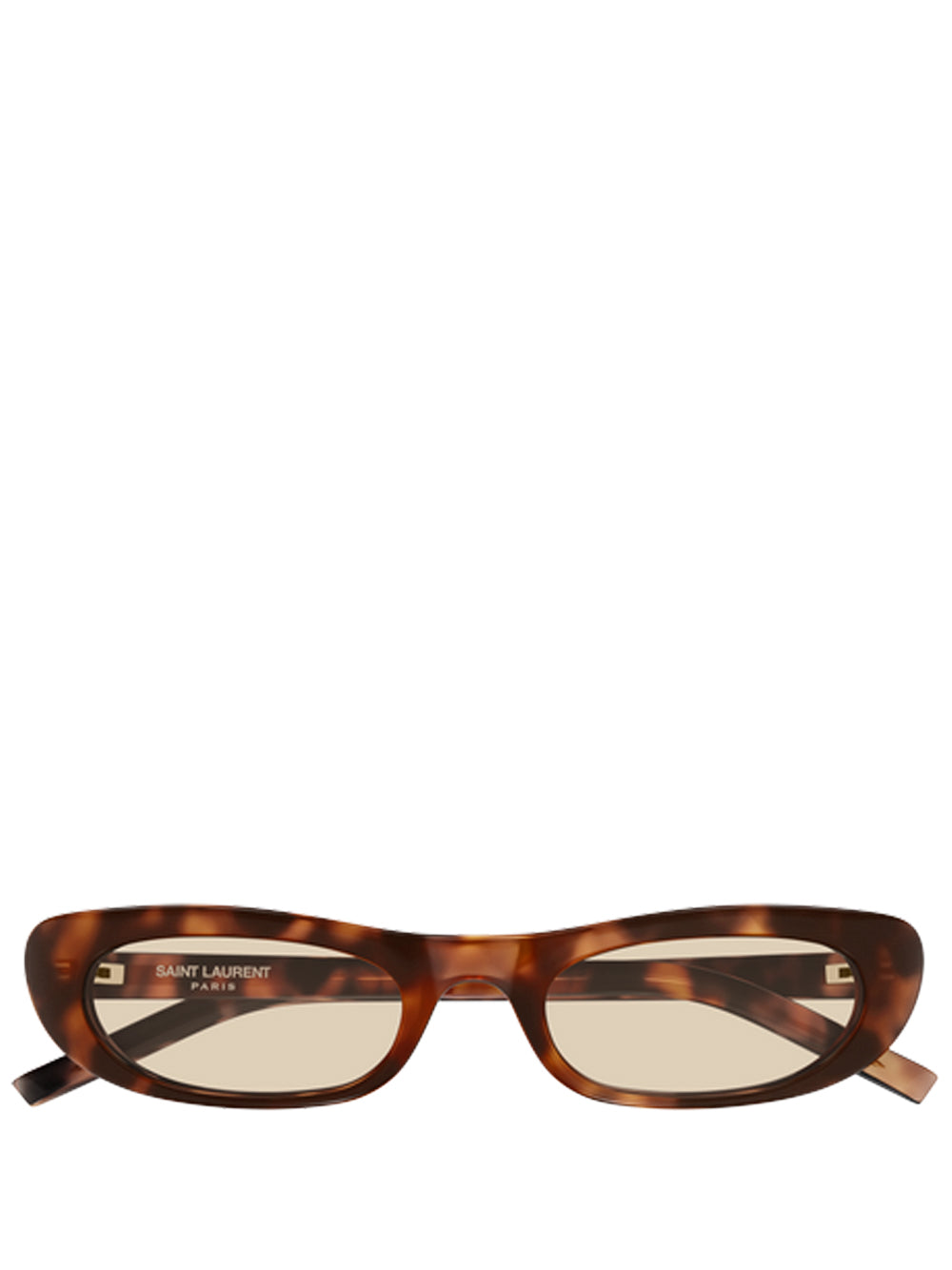 SAINT LAURENT-SL 557 SHADE-SL 557 SHADE.008 008 HAVANA/BROWN