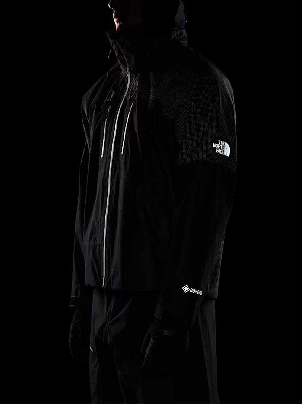 THE NORTH FACE-M HKE DVL TMBGTX JKT-NF0A8CG3JK31 TNF BLACK